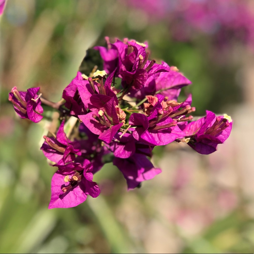 Meet your Posher, Marie